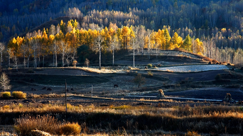 壩上金秋1.赤峰